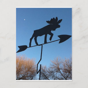 Cartão Postal Moose weathervane