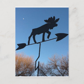 Cartão Postal Moose weathervane