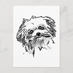 Cartão Postal Mop Dog