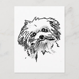 Cartão Postal Mop Dog