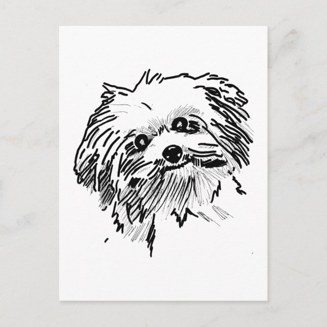 Cartão Postal Mop Dog (Frente)
