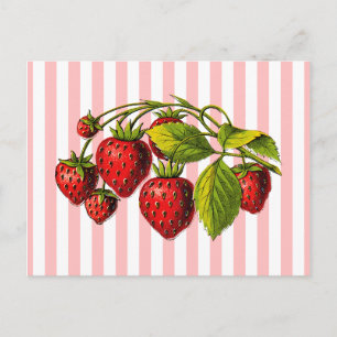 Cartão Postal Morangos em Stripes Rosa e Branca