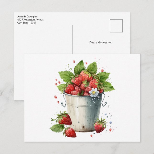 Cartão Postal Morangos Frescos Colhidos em um Balde (Frente/Verso)