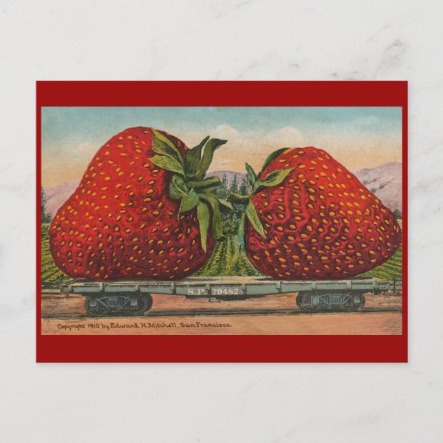 Cartão Postal Morangos Giant Antiguidade Diversão da Fruta (Frente)