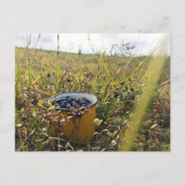 Cartão Postal Morangos na tundra do Alasca