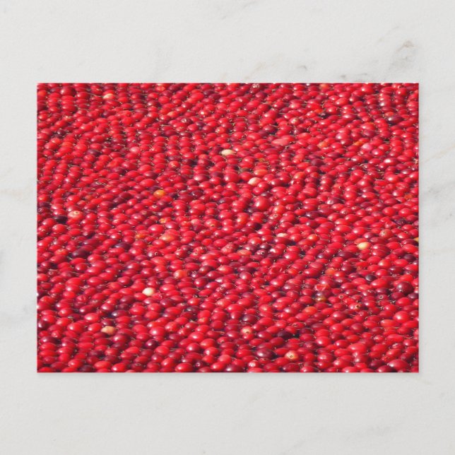 Cartão Postal Morangos Vermelho Festivo (Frente)