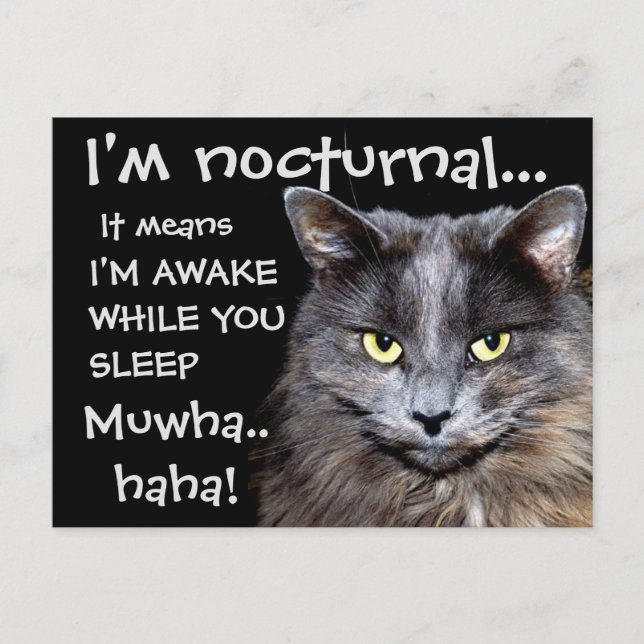 Cartão Postal Morcego (Frente)