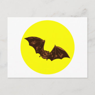 Cartão Postal Morcego de ledermaús