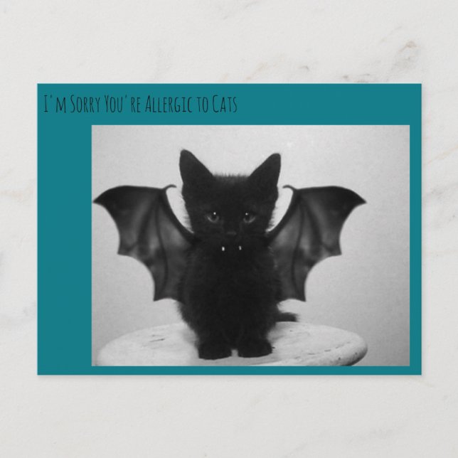 Cartão Postal morcego gatinho (Frente)