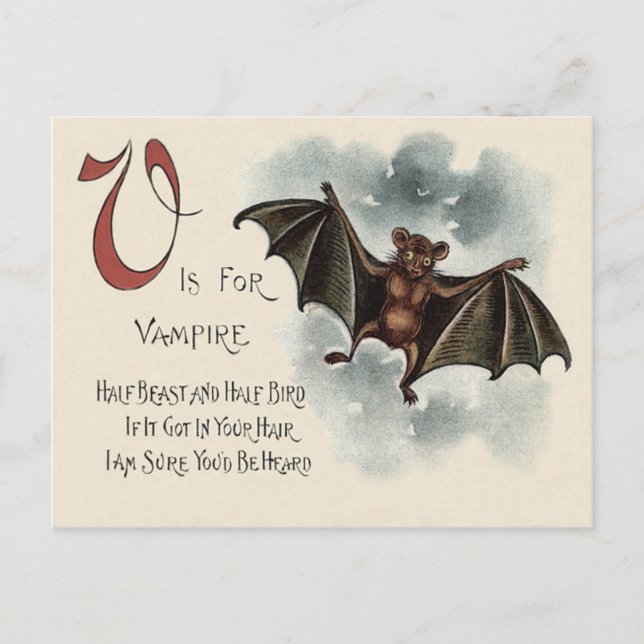 Cartão Postal Morcego Vampiro Bobalhão Voador (Frente)