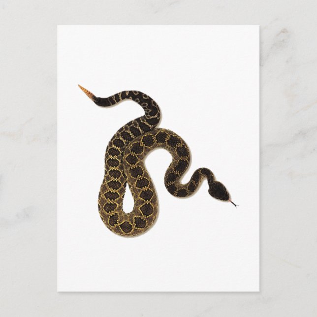 Cartão Postal Mordidas Venômicas (Frente)