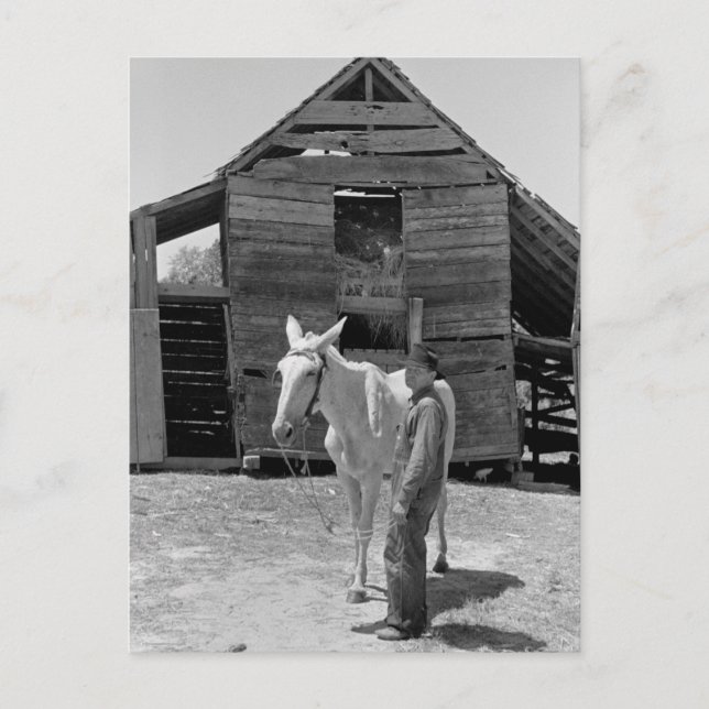 Cartão Postal Mordoma do fazendeiro, anos 30 (Frente)