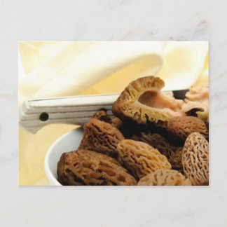 Cartão Postal Morel Mushroom