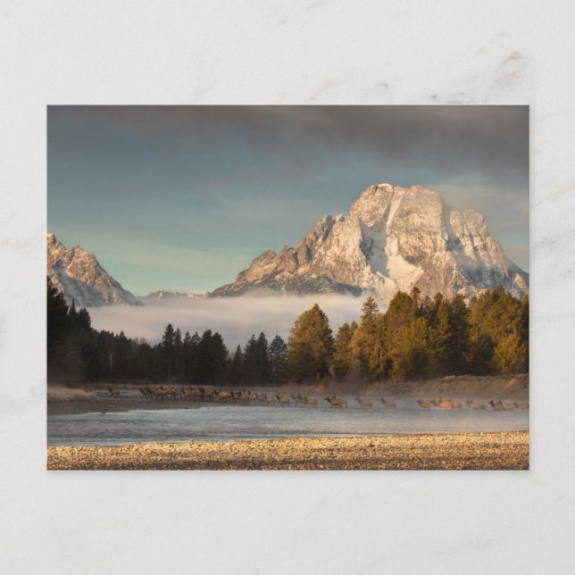 Cartão Postal Morning Commute (Frente)