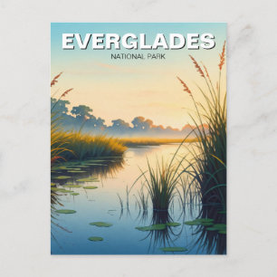 Cartão Postal Morning Everglades National Park Viagem