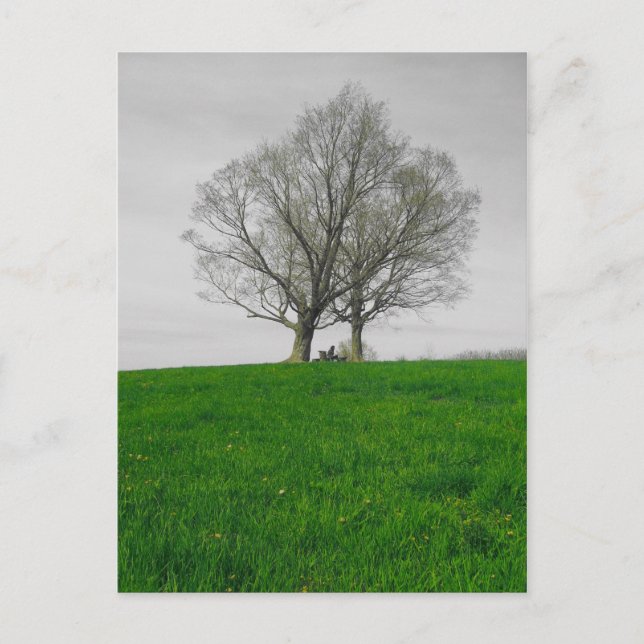 Cartão Postal morro (Frente)