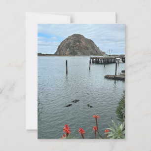 Cartão Postal Morro Bay Rock com Otters