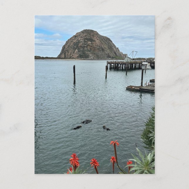 Cartão Postal Morro Bay Rock com Otters (Frente)