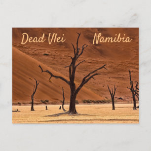 Cartão Postal Morto Vlei Namibia, foto da paisagem com texto