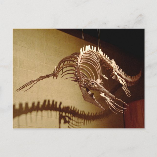 Cartão Postal Mosasauro - "Sea Lizard" (Frente)
