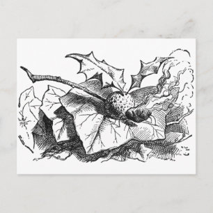 Cartão Postal Mosca do Dragão do Snap