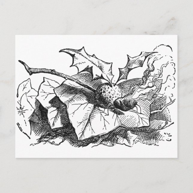 Cartão Postal Mosca do Dragão do Snap (Frente)