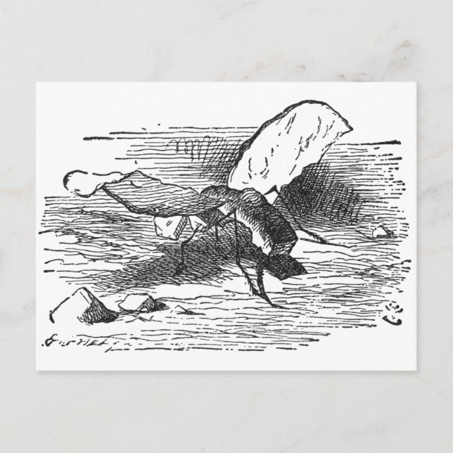 Cartão Postal Mosca Pão e Manteiga (Frente)