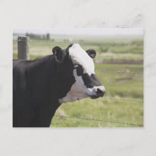 Cartão Postal Moseleigh, Alberta, Canadá