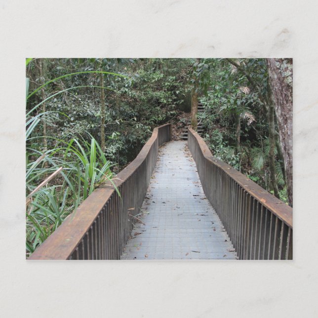 Cartão Postal Mossman Gorge - Austrália de Queensland (Frente)