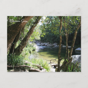 Cartão Postal Mossman Gorge, Queensland - Cartão-postal