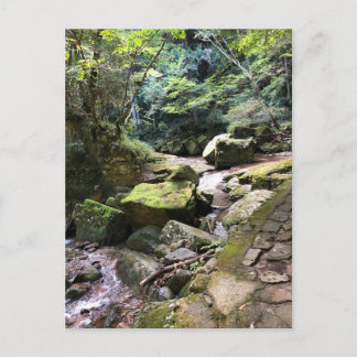 Cartão Postal Mossy Mountain Stream in a Japanese Forest Jigsaw