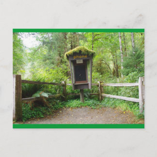 Cartão Postal Mossy Phone Booth - Hoh Rain Forest