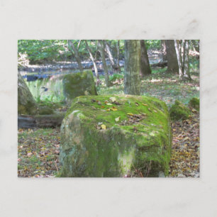 Cartão Postal Mossy Rocks no Banco