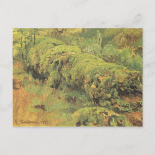 Cartão Postal Mossy Wood por Ivan Shishkin