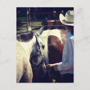 Cartão Postal Mostra em um show de cavalos