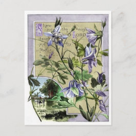 Cartão Postal Mostre-me o caminho