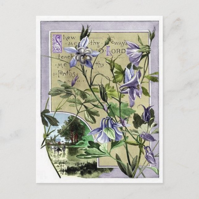 Cartão Postal Mostre-me o caminho (Frente)