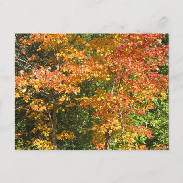 Cartão Postal Motivo da mudança (Frente)