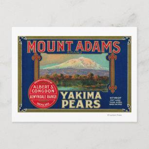 Cartão Postal Mount Adams Pear Crate LabelYakima, WA