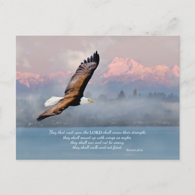 Cartão Postal Mount Up With Wings Like Eagles Fine Art Blank (Frente)