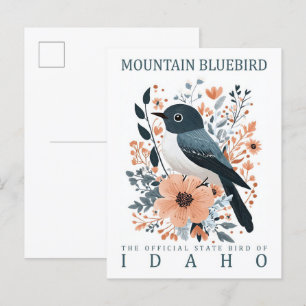 Cartão Postal Mountain Bluebird Bird of Idaho USA Viagem