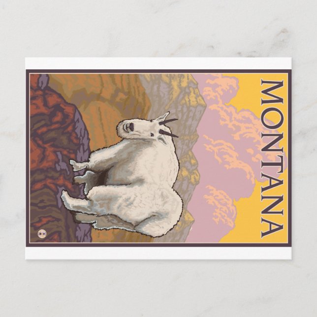 Cartão Postal Mountain Goat - Montana (Frente)