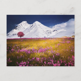 CARTÃO POSTAL MOUNTAINS FIELD FLOWERS LANDSCAPE POSTCROSSING
