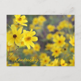 Cartão Postal Mountainside Wildflower por JerseyFawn