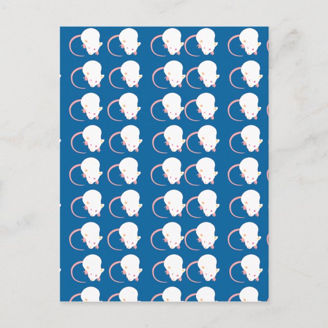 Cartão Postal mousyb (Frente)