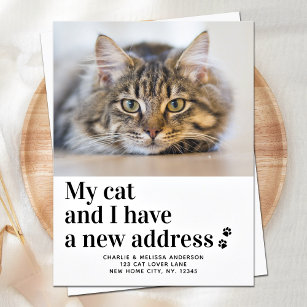 Cartão Postal Movimentamos O Novo Gato De Fotografia Pet De Ende