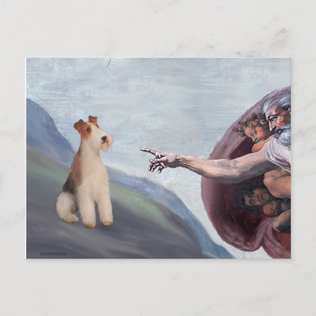 Cartão Postal MP-God's Wire Fox Terrier (M) (Frente)