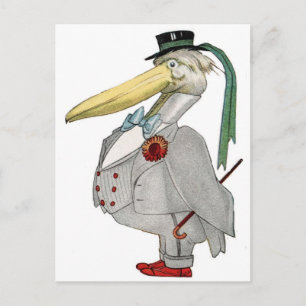 CARTÃO POSTAL MR PELICAN