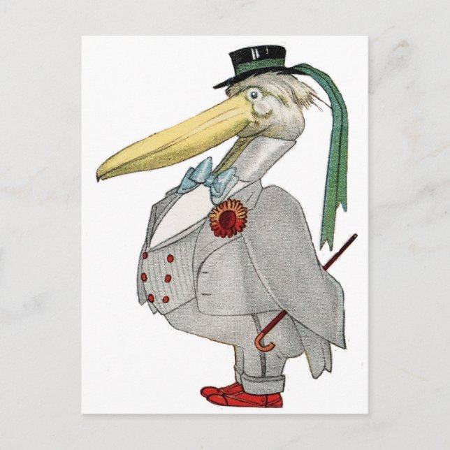 CARTÃO POSTAL MR PELICAN (Frente)