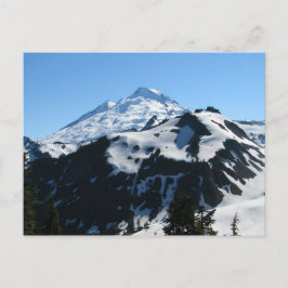 Cartão Postal Mt Baker Em Julho